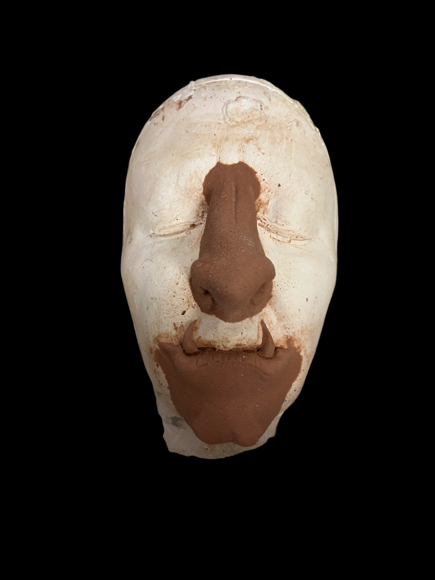 Beast nose and chin set