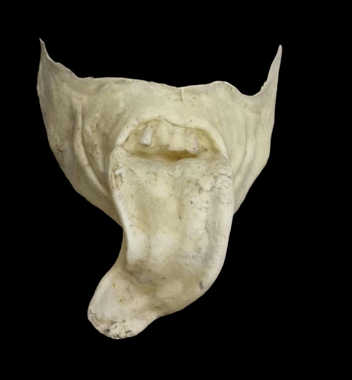 Demon tongue Mouthpiece latex prosthetic