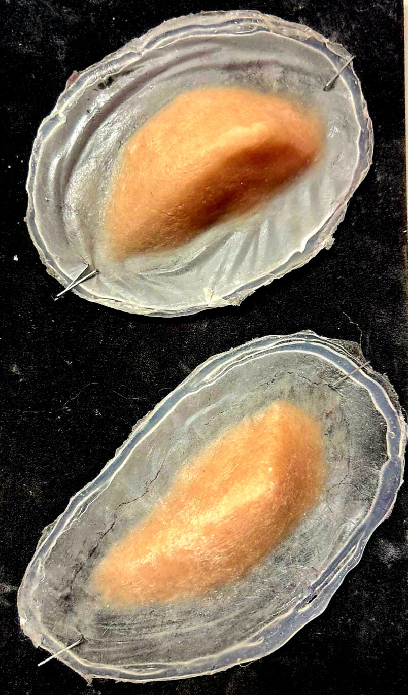 POINTY CHEEK PROSTHETICS