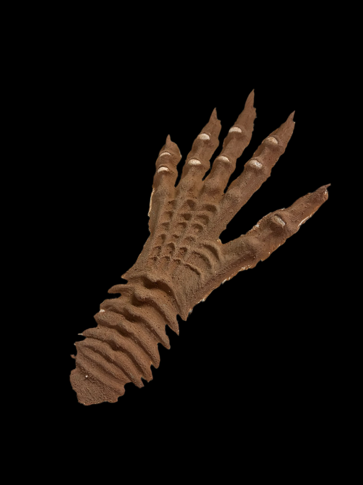 prosthetic alien hands