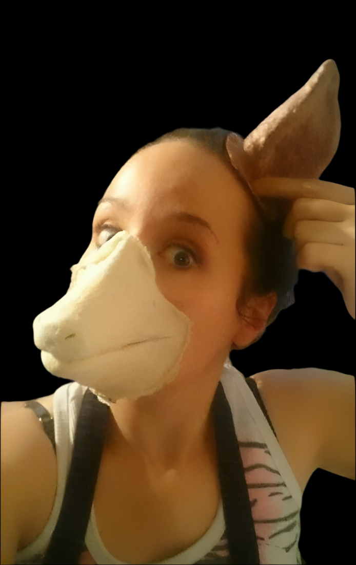 horse mouth prosthetic