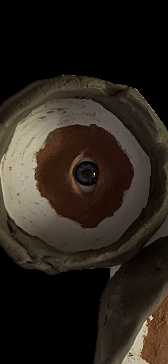 3rd eye prosthetic with faux eye - you choose your colour