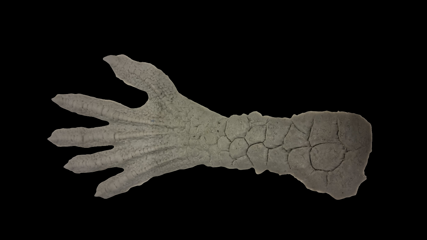 Gremlins reptile hands silicone