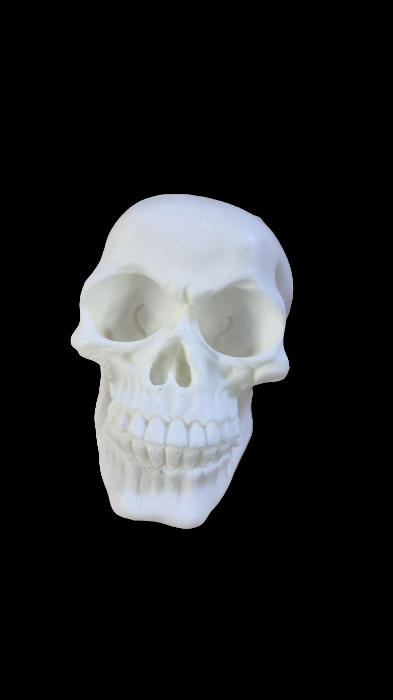 MINI SKELETON PROP