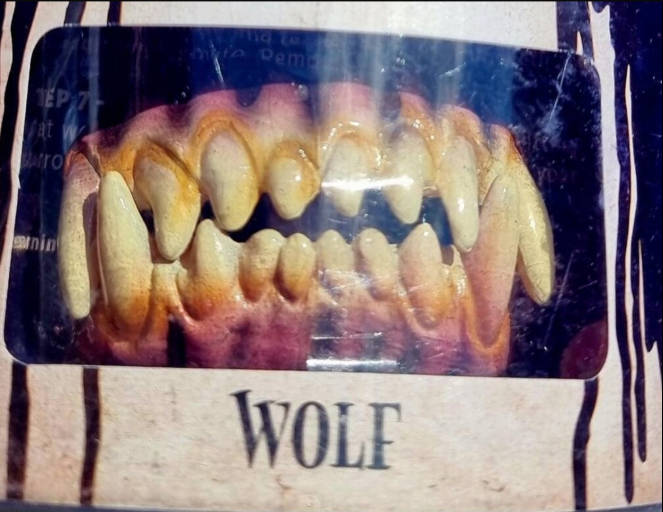 faux wolf teeth