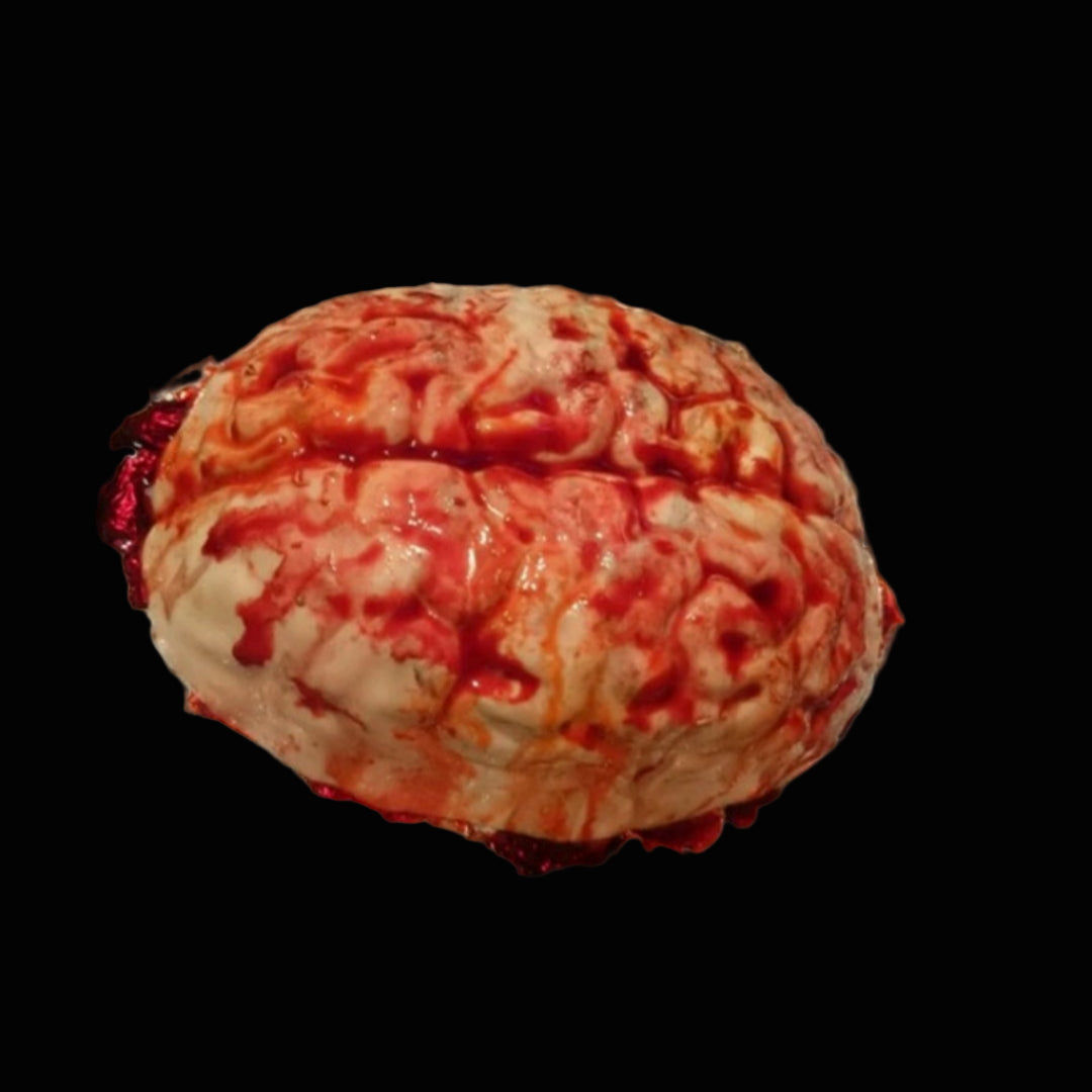 Prop brain latex prosthetic online fancy dress shop