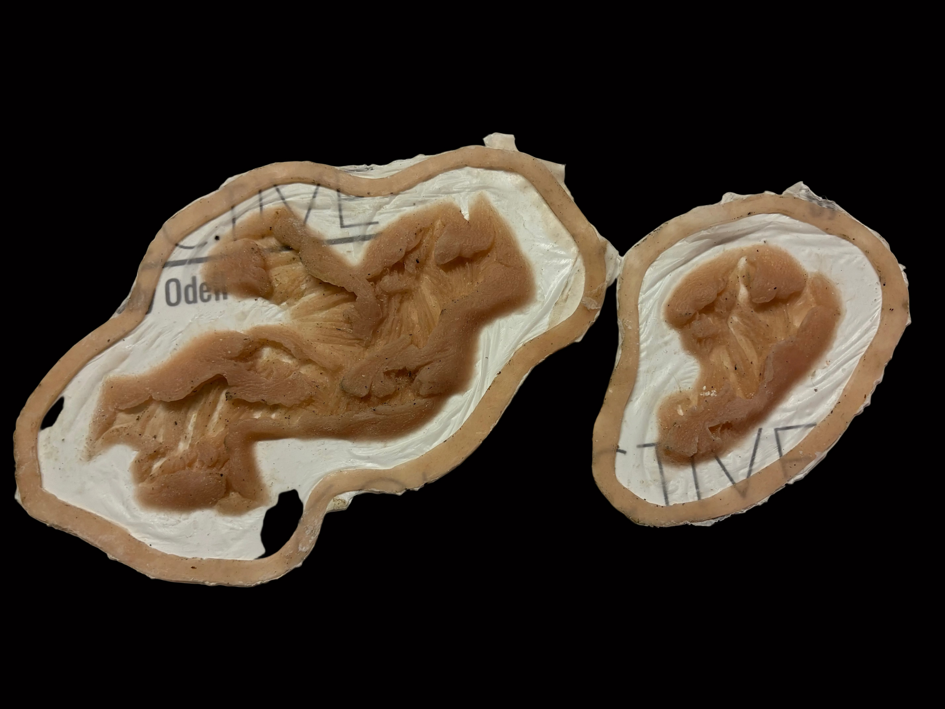 4PCS flesh wounds zombie exposed tissue muscle wound rip tear injury prosthetic silicone small deep gash wound zbrothers