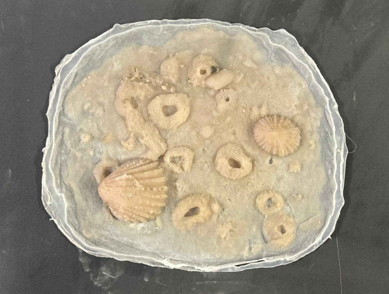 BARNACLE PROSTHETC SILICONE SET