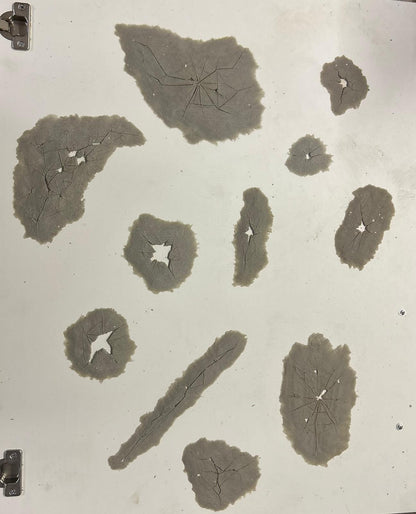 BROKEN GLASS SILICONE PROSTHETIC FLAT PIECES SET
