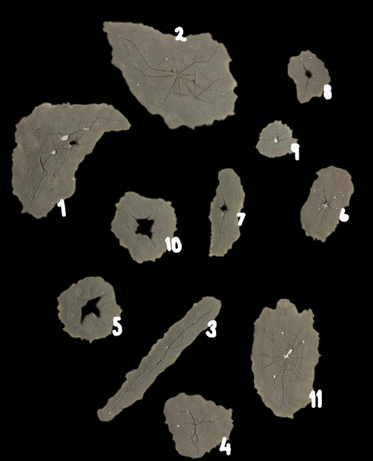 CRACKED SILICONE PIECES