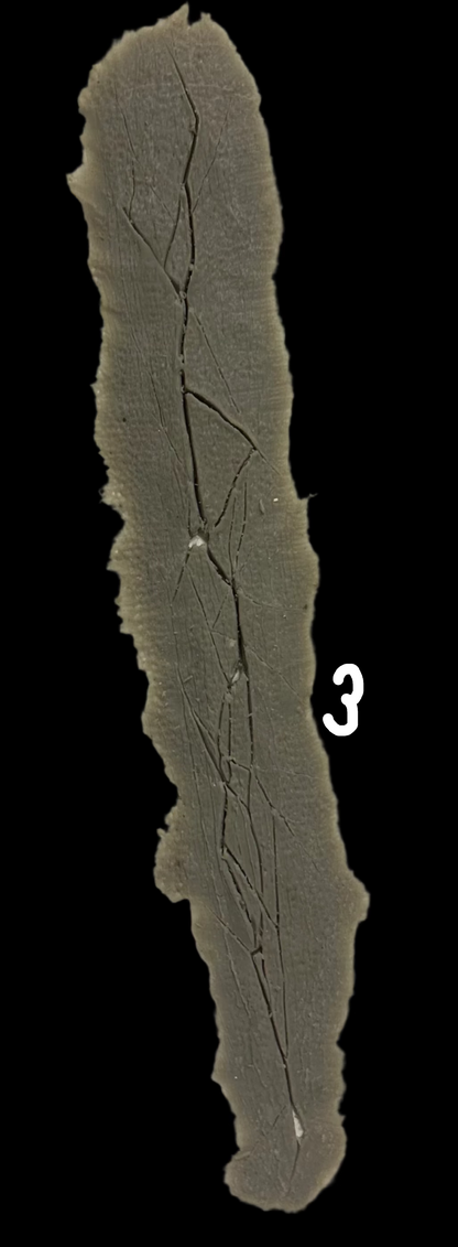 CRACKED SILICONE PIECES no 3