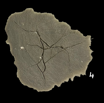 CRACKED SILICONE PIECES no 4