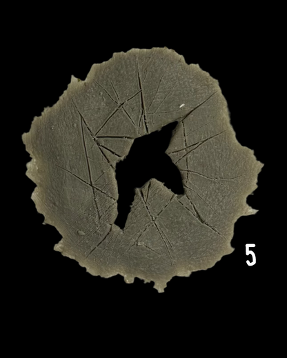 CRACKED SILICONE PIECES no 5