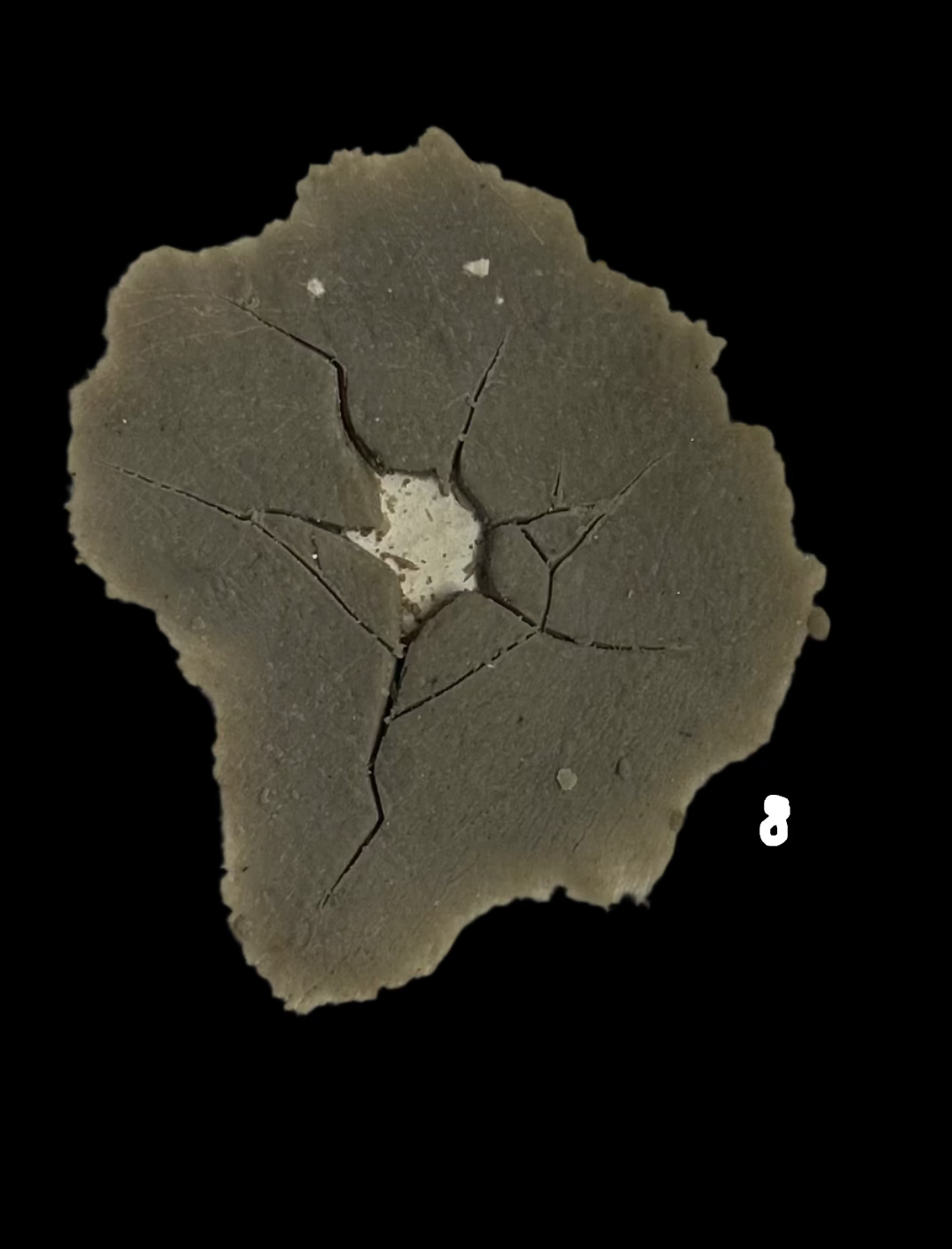 CRACKED SILICONE PIECES no 8
