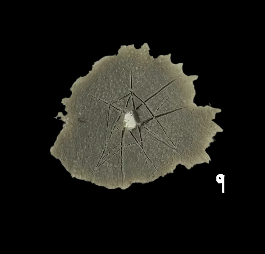 CRACKED SILICONE PIECES no 9