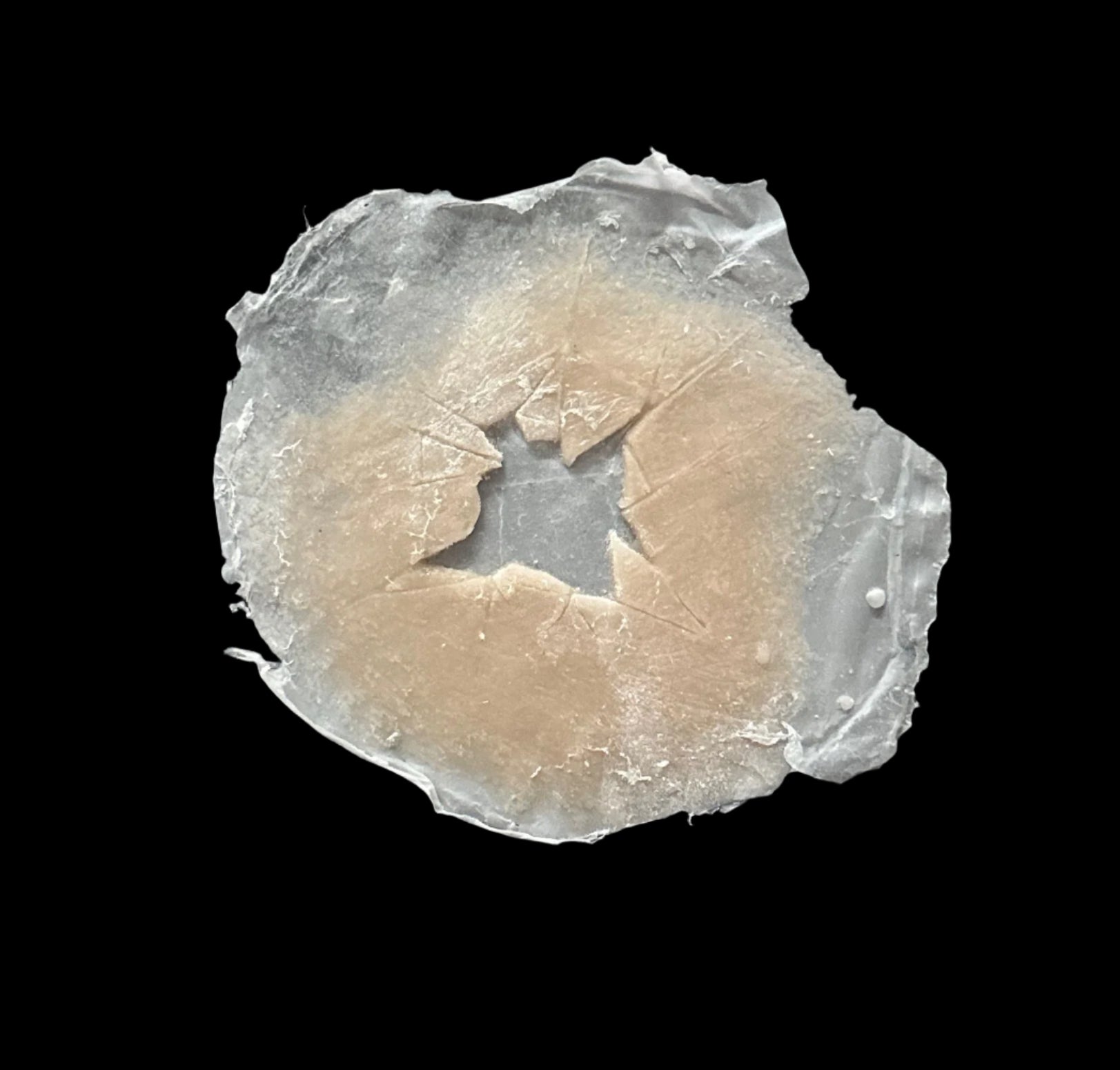 CRACKED SILICONE Prosthetic no 10