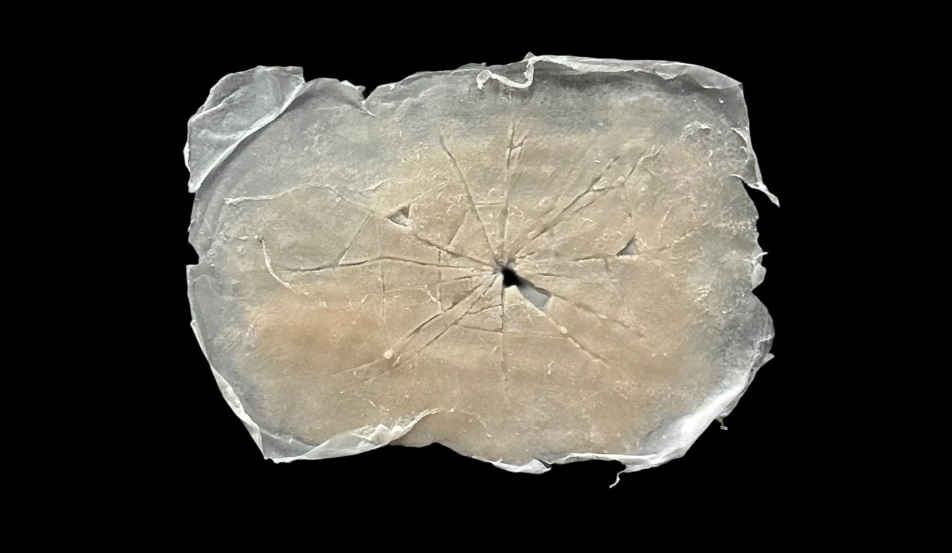 CRACKED SILICONE Prosthetic no 11