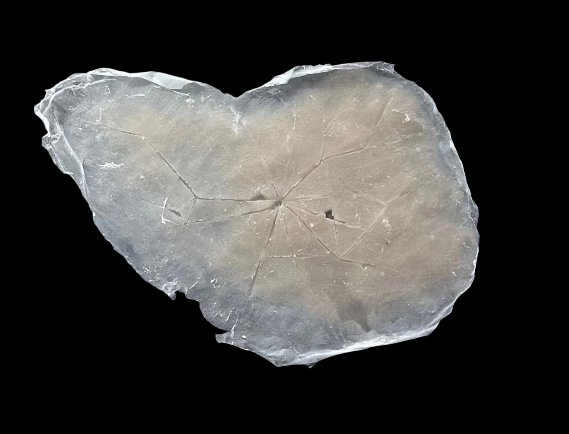 CRACKED SILICONE Prosthetic no 2
