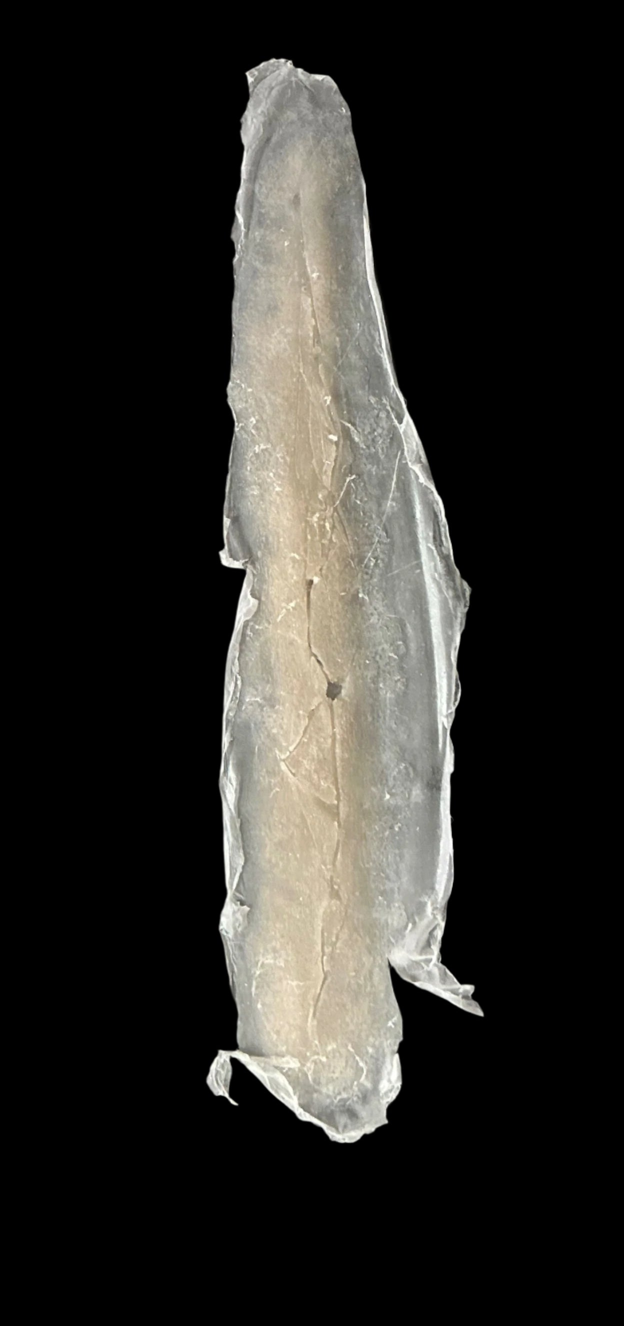 CRACKED SILICONE Prosthetic no 3