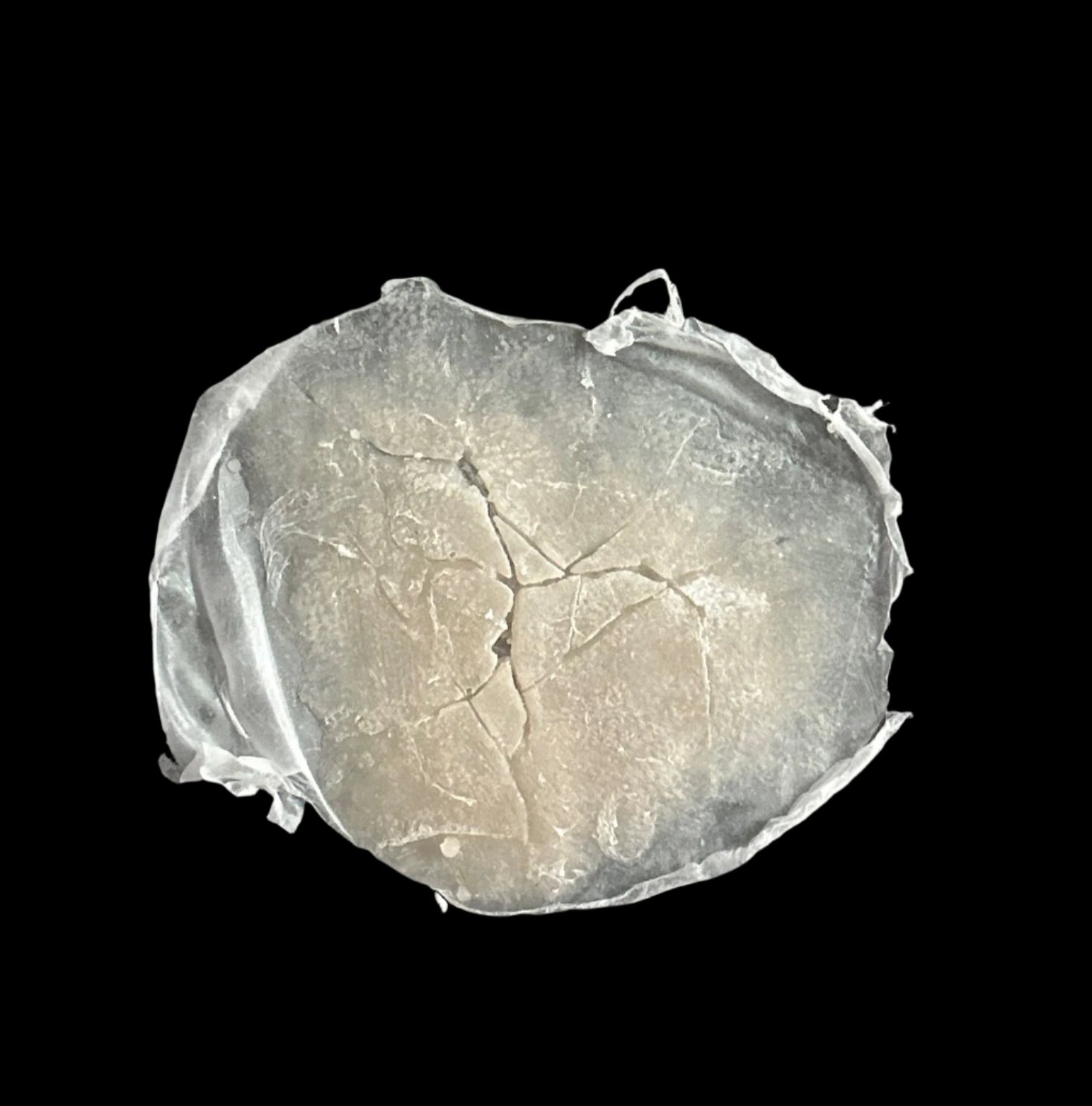 CRACKED SILICONE Prosthetic no 4