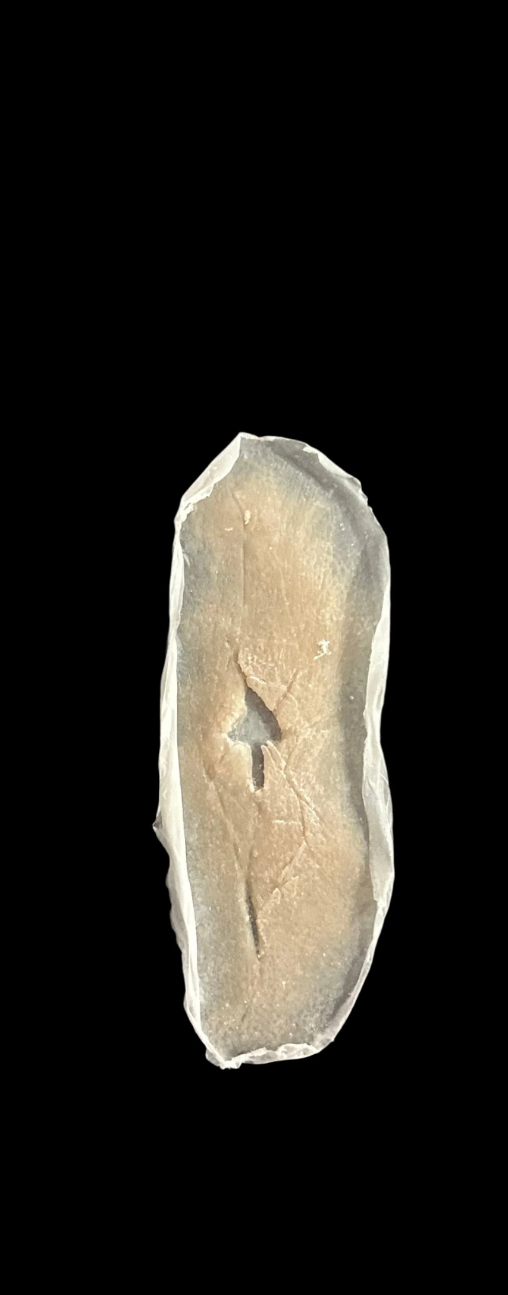 CRACKED SILICONE Prosthetic no 7