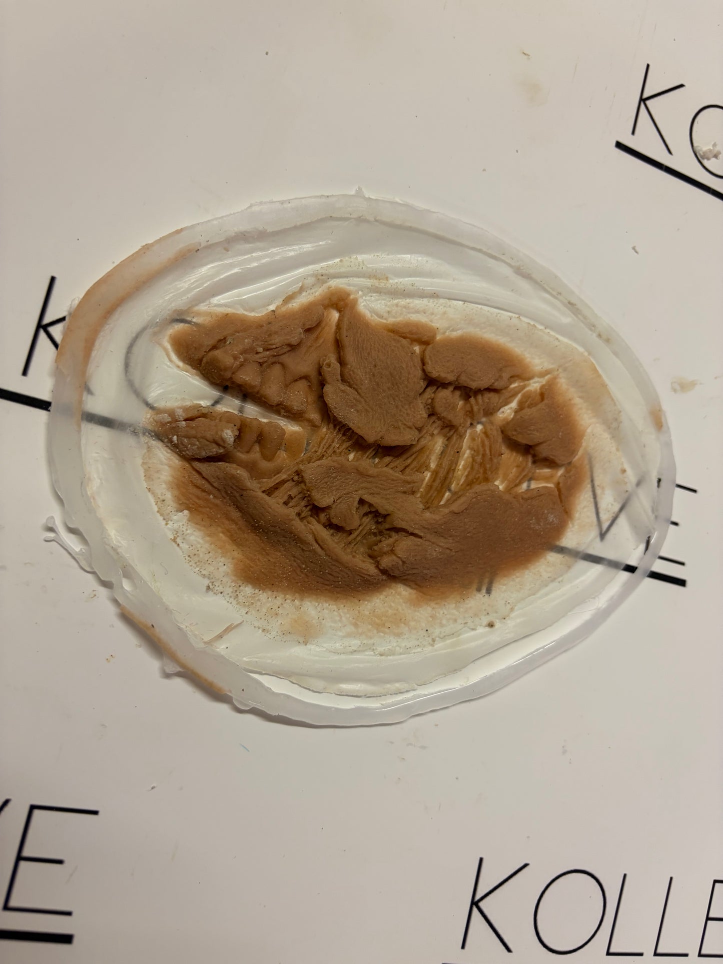 EXPOSED MOUTH MUSCLES 