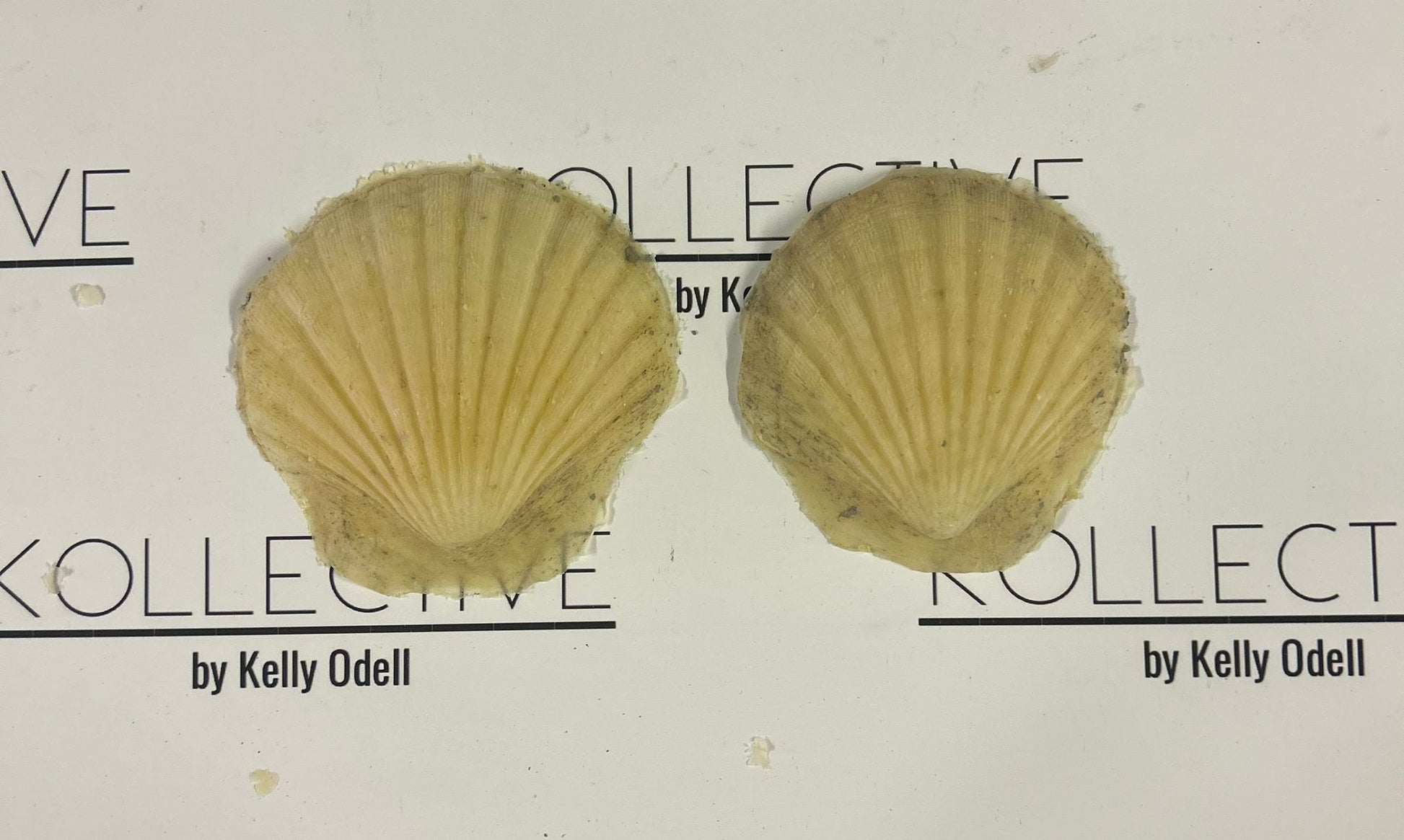 sea shell latex foam prosthetics and boob covers nipple covers for body painters and props