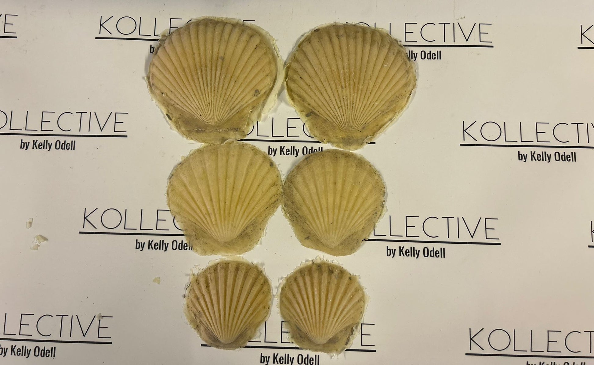 sea shell latex foam prosthetics and boob covers nipple covers for body painters and props