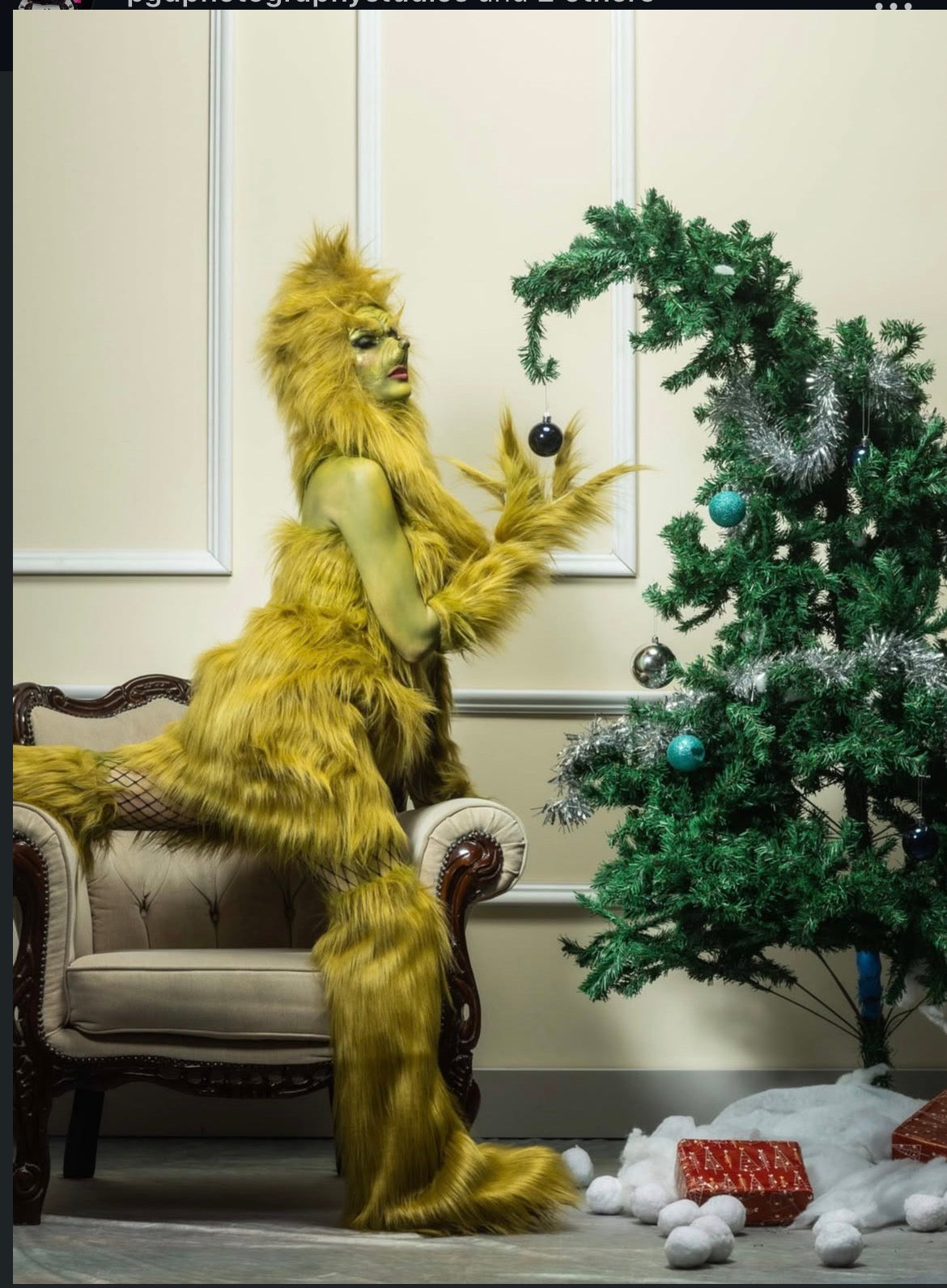FULL FEMALE GRINCH FUR COSTUME SET