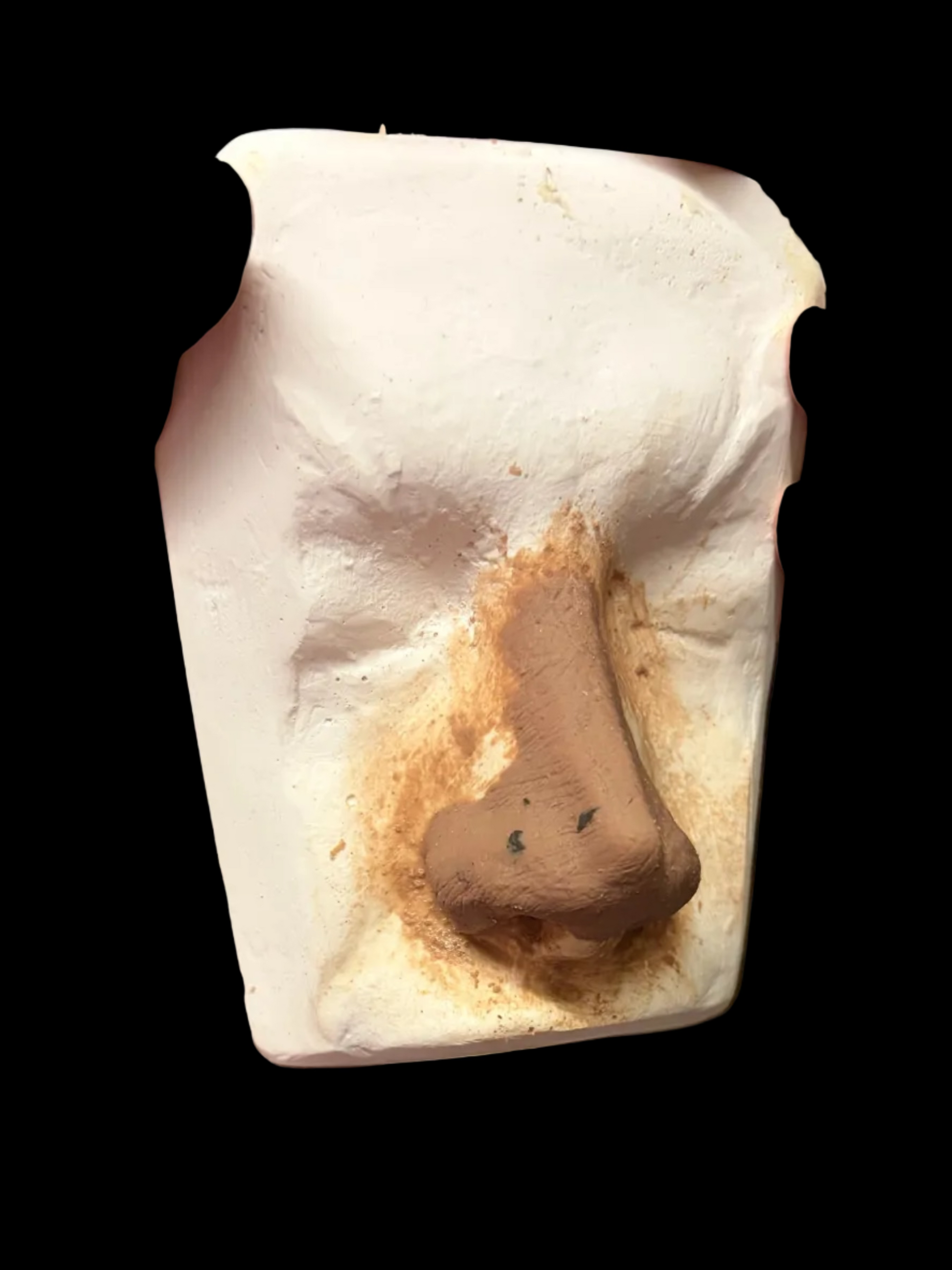 MJ prosthetic nose 
