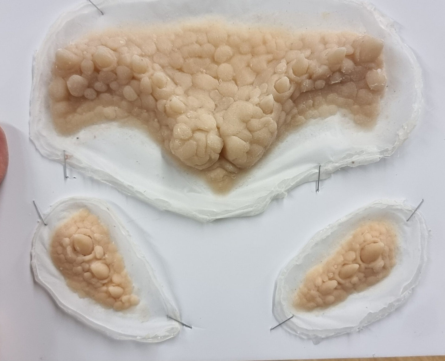  Reptile Gremlins Set silicone 