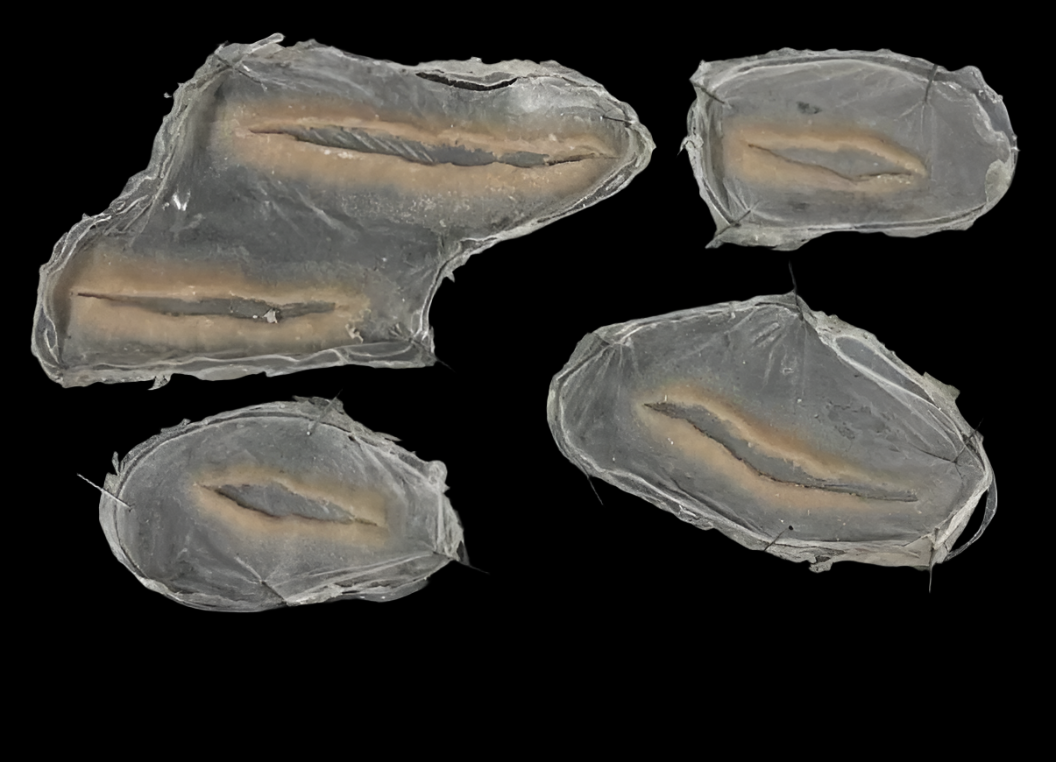 silicone Subtle Realistic Slash Wound prosthetics 