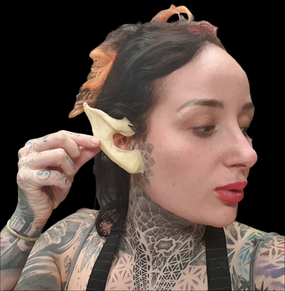 Elf Pixie Demon Pointy Ears prosthetic 