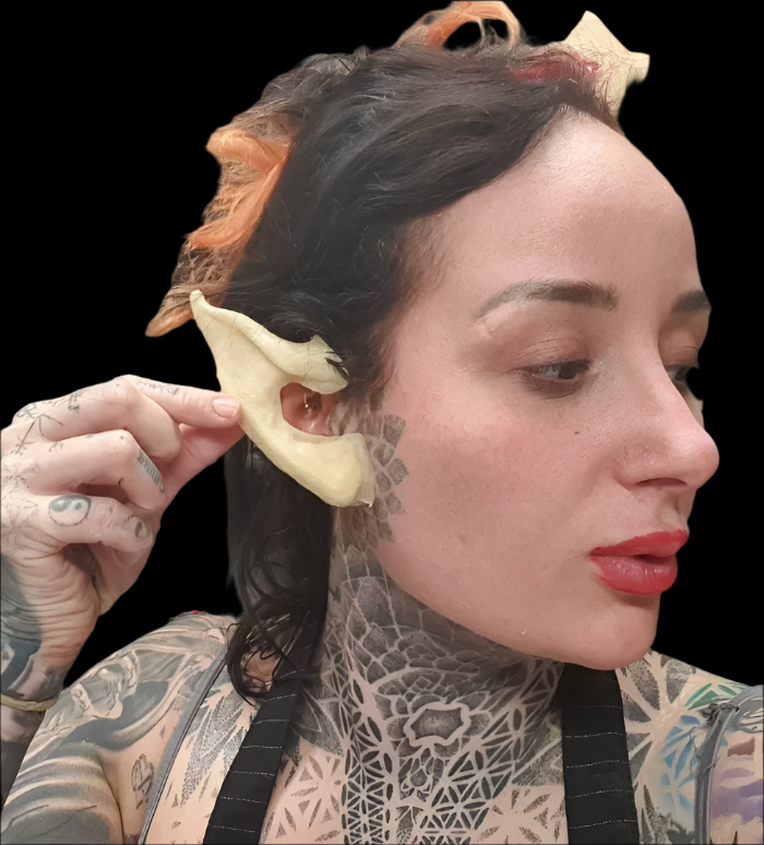 Elf Pixie Demon Pointy Ears latex prosthetics 