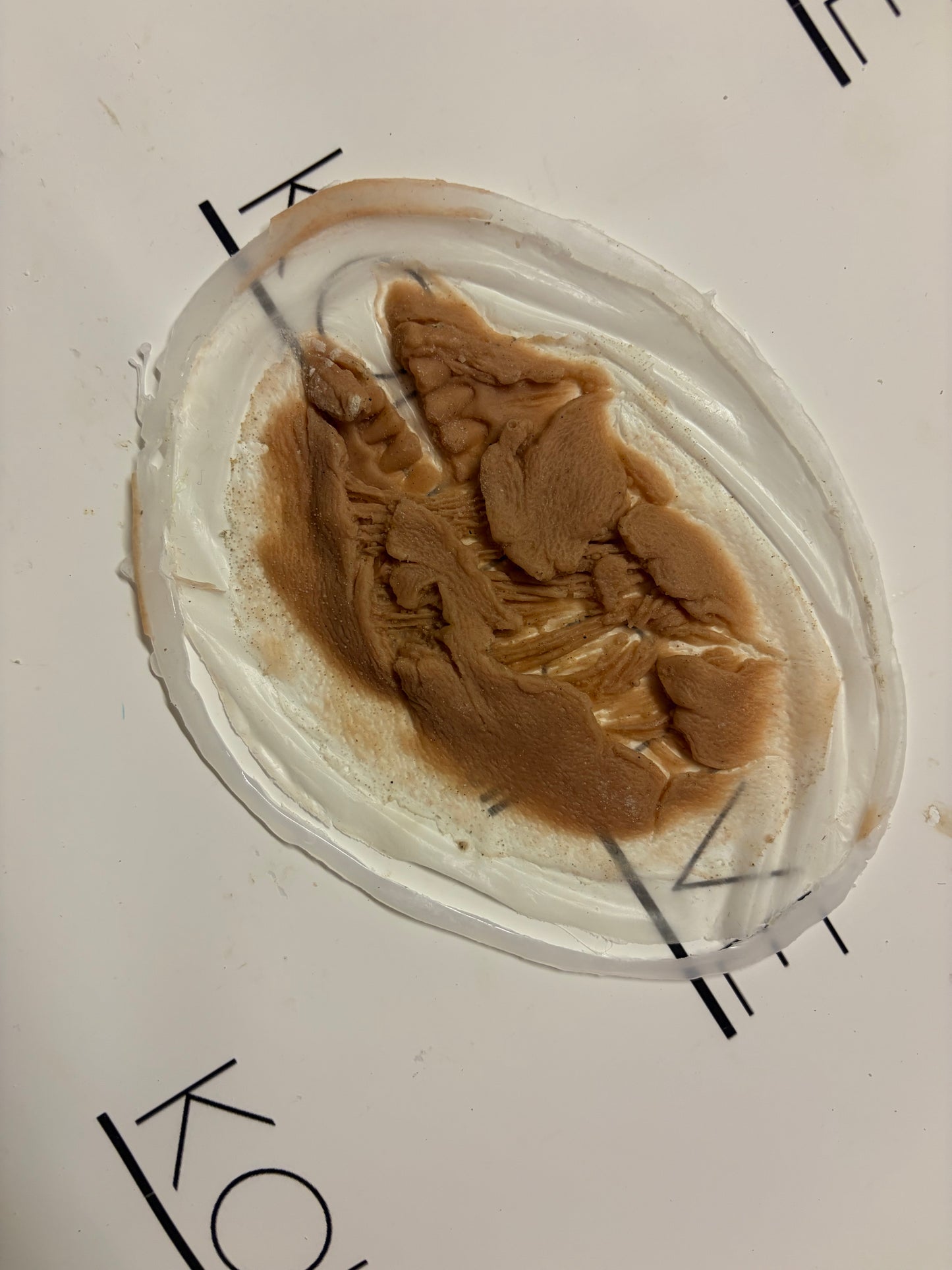 ZOMBIE MOUTH PROSTHETIC