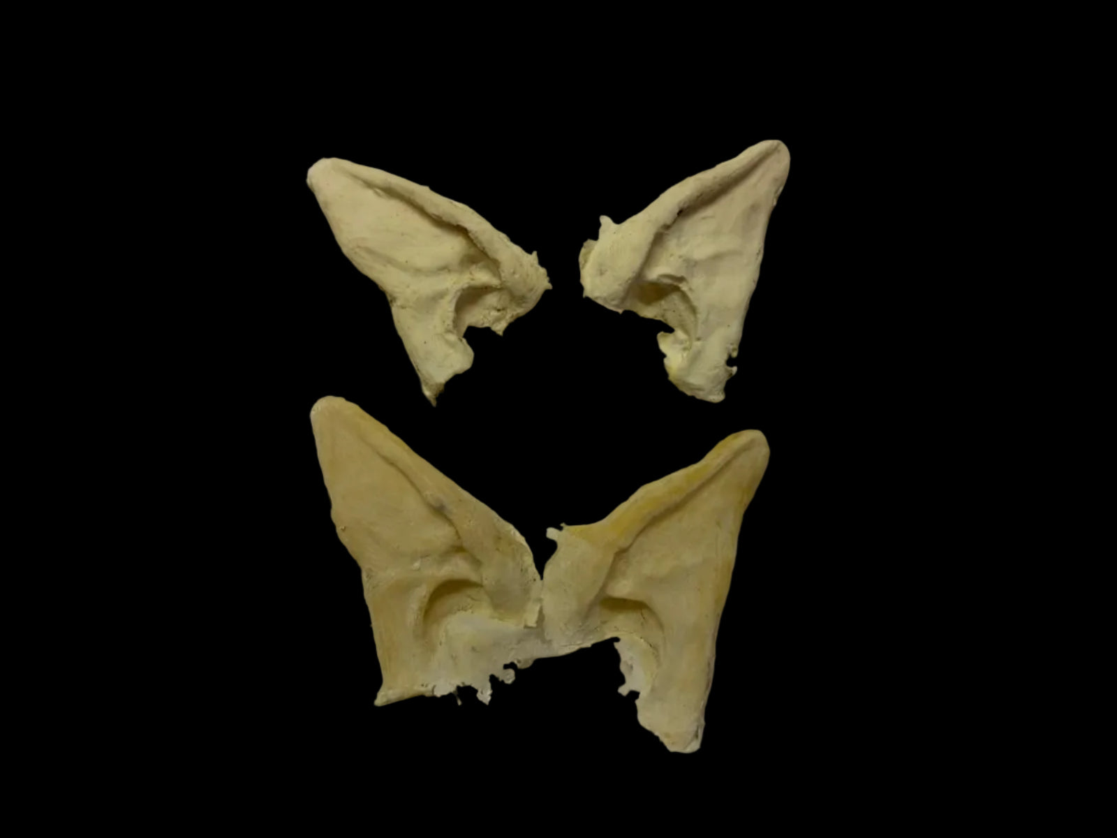 avatar ear tips prosthetics Avatar foam latex cosplay prosthetic for SFX makeup and costume