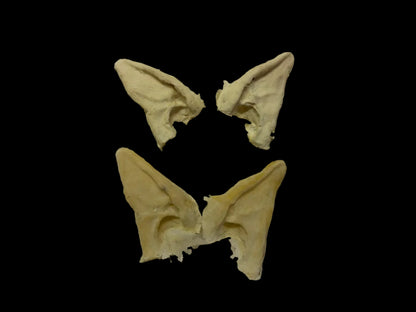 avatar ear tips prosthetics Avatar foam latex cosplay prosthetic for SFX makeup and costume