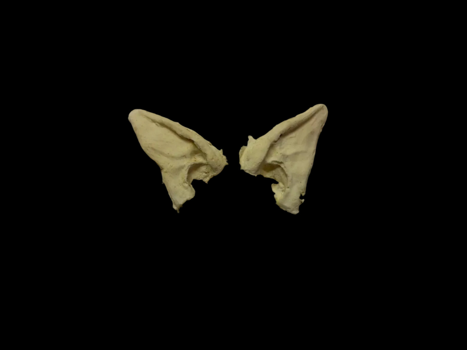 avatar ear tips prosthetics foam latex