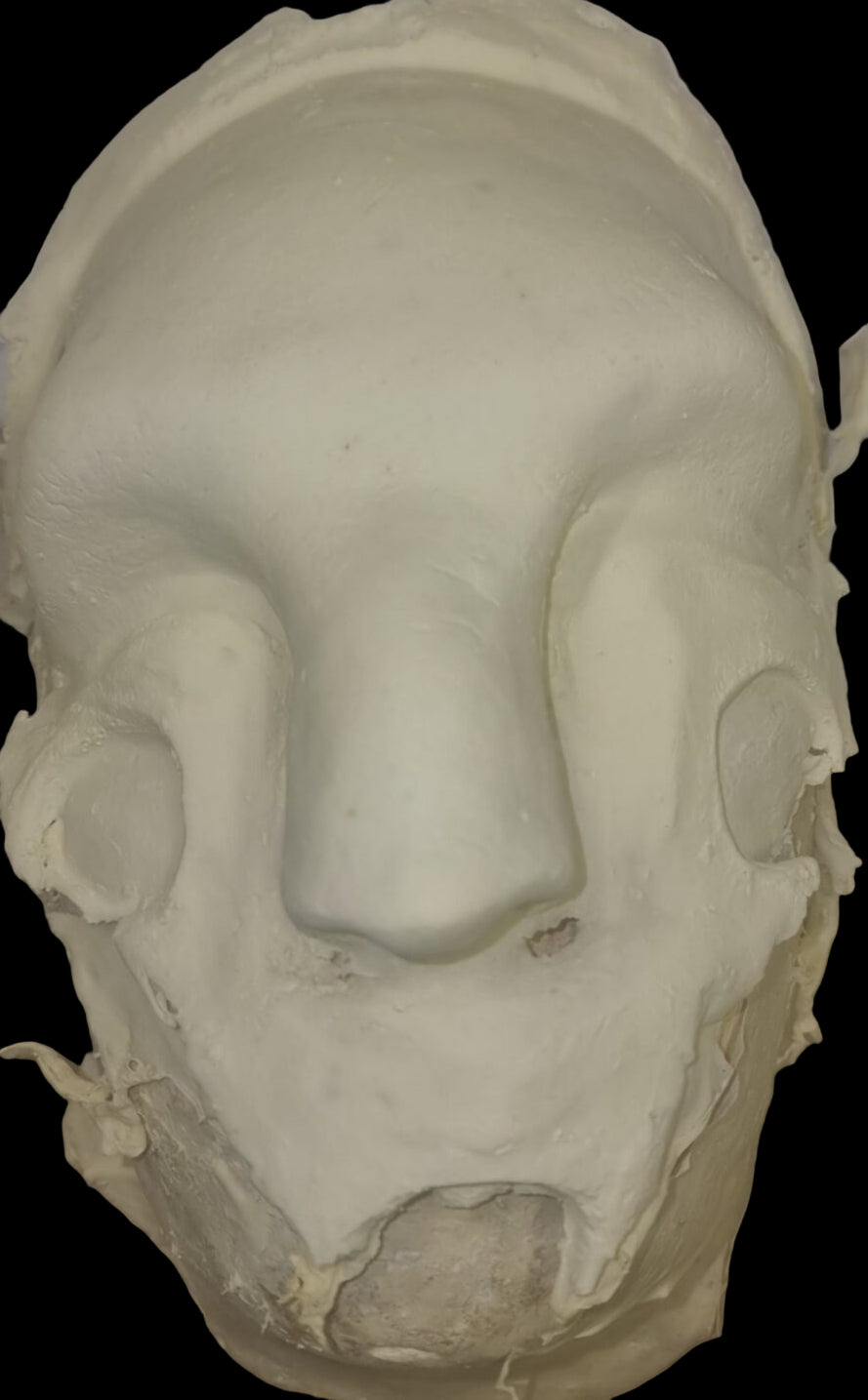 avatar foam latex prosthetic