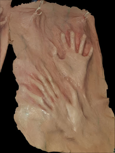 Body of Souls back chest body latex prosthetic inspired by Ed Gein and Freddy Krueger for sale.