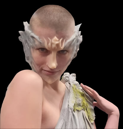 Fairy nose and chin set