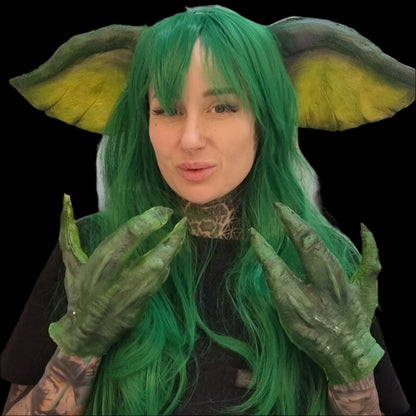 EARS AND WIG