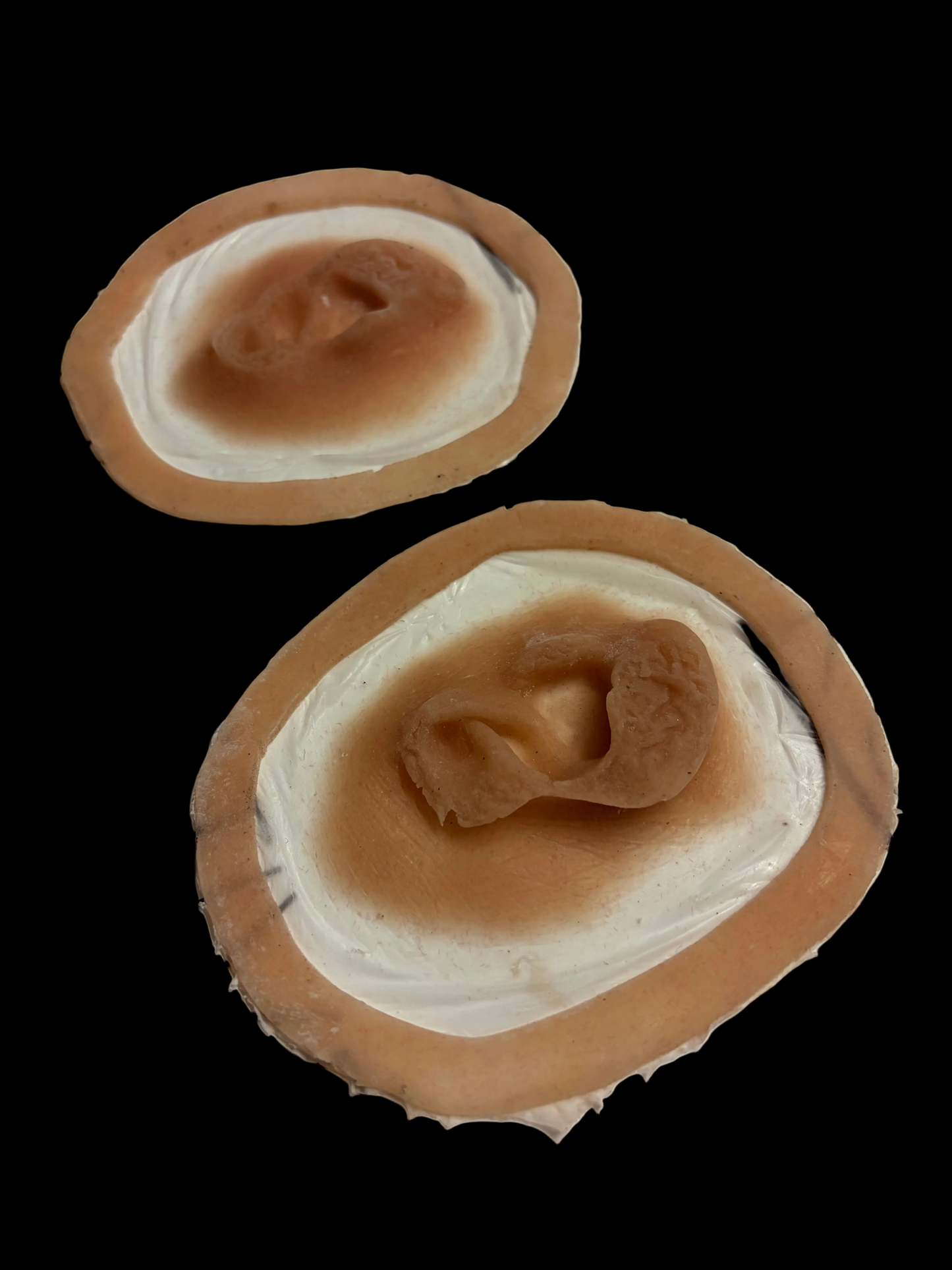 ear wound prosthetics