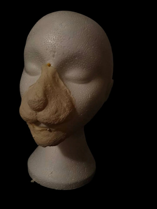 Rabbit lion Animal nose