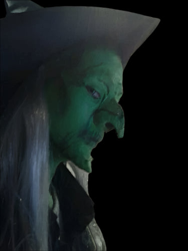 Child size witch nose