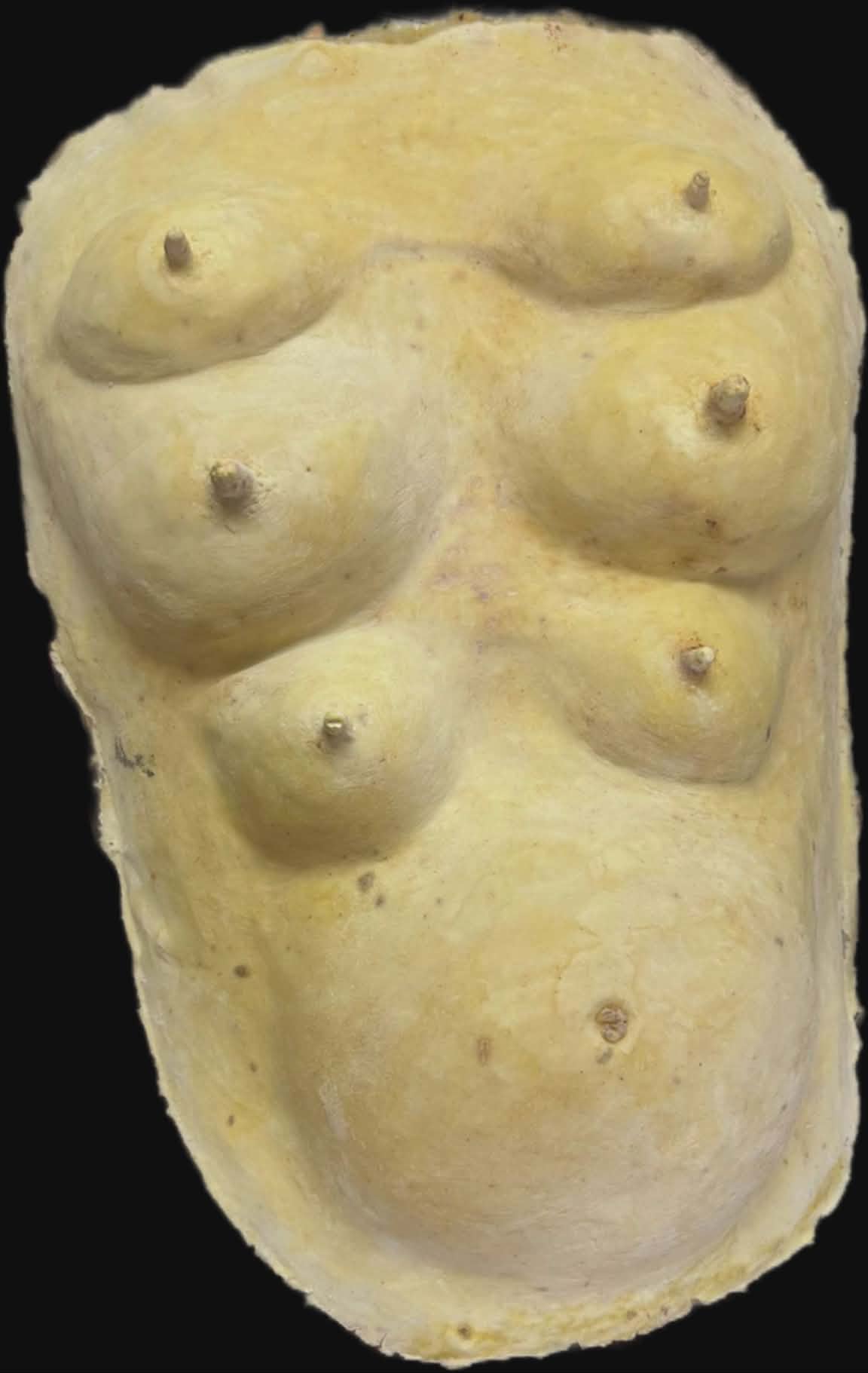 pig chest, face and ears prosthetic latex mask for sale fancy dress item cosplay costume