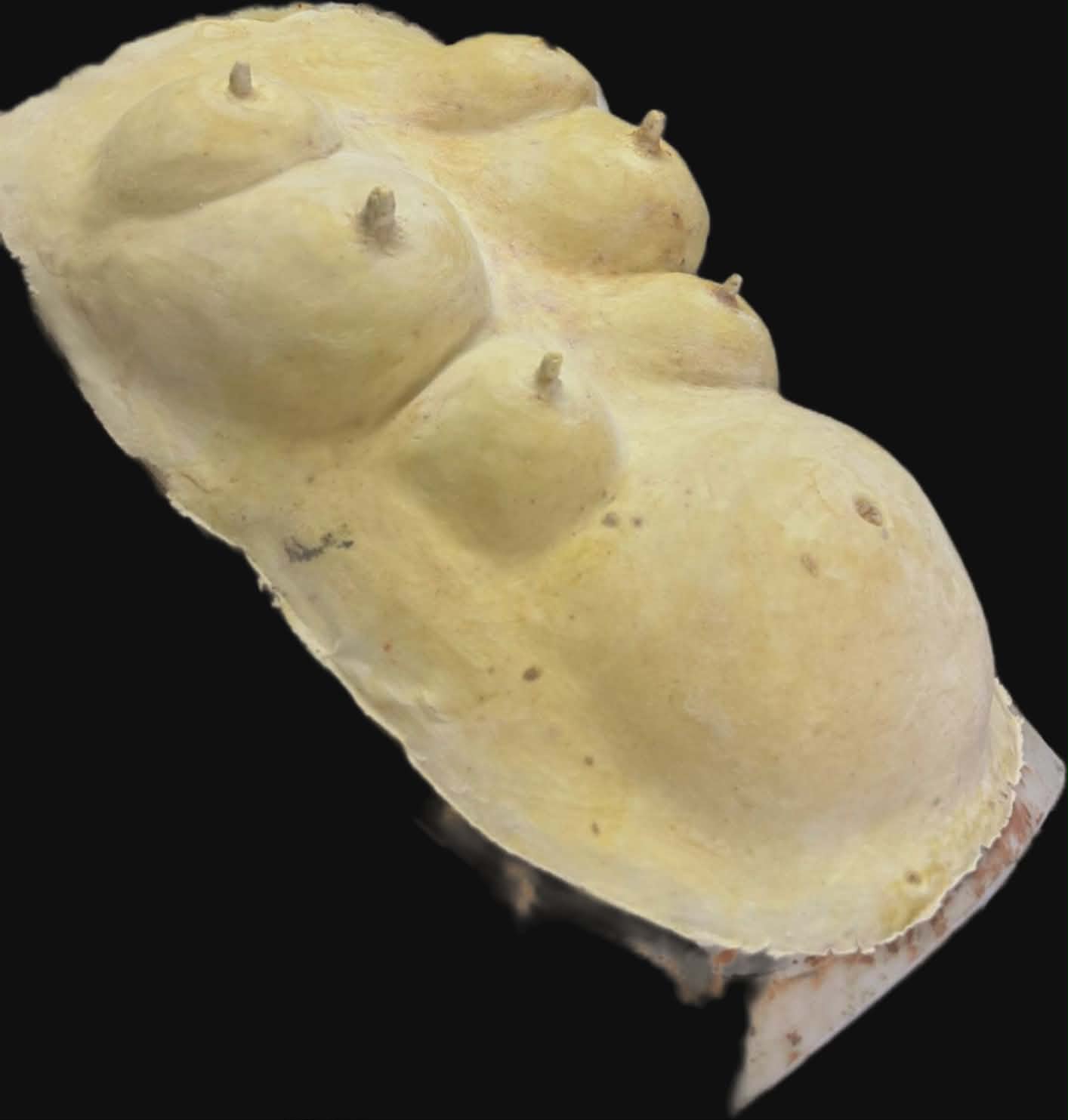 pig chest prosthetic latex mask for sale fancy dress item cosplay costume