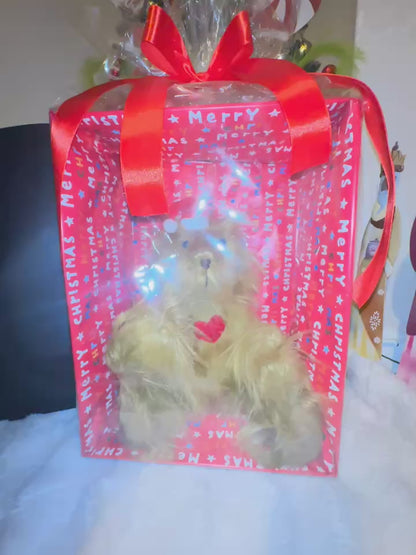 Grinch inspired plush and gift box
