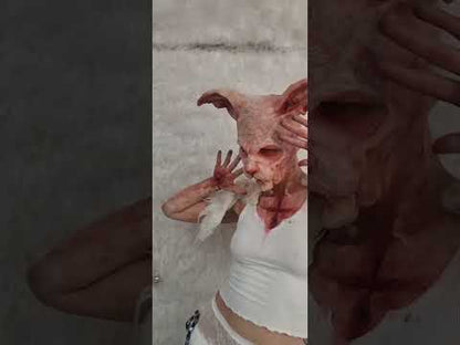 stab gun bullet wounds