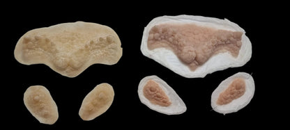  Reptile Gremlins Set silicone forehead and cheeks spikey prosthetics cosplay set 
